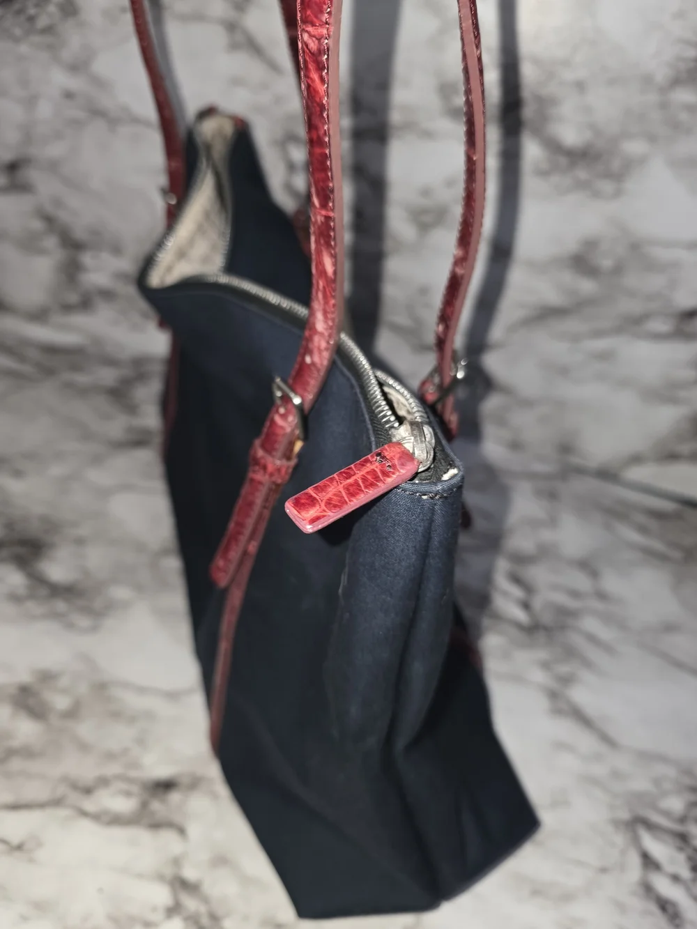 Tardini Canvas & Crocidle Purse